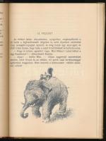 Tersánszky Józsi Jenő: Misi Mókus kalandjai. Róna Emy rajzaival. Bp., 1954, Ifjúsági Könyvkiadó. Más...