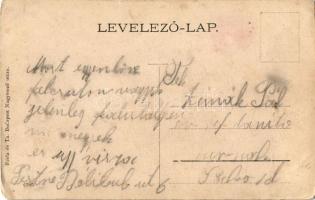 Felcsút, Fischof kastély és hátsó része. Art Nouveau, Frida és Ta. kiadása (ázott / wet damage)