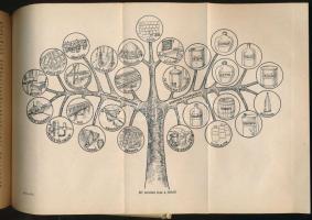 Ákos László - Aba Iván: Erdők országa. Bp., 1954, Művelt Nép. Egyetlen kiadás. Kiadói illusztrált fé...