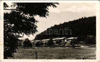 Királd, Borsodi Szénbányák rt. Erdőalja lakótelepe. Klemm Béla felvétele (fl)