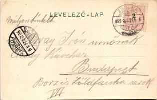 1899 (Vorläufer) Rajecfürdő, Rajecz-fürdő, Rajecké Teplice; Gyógyház és tér. Gansel Lipót kiadása / ...