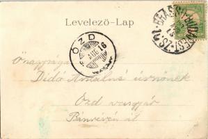 1903 Segesvár, Schässburg, Sighisoara; Petőfi szobor. Vándory kiadása, szecessziós-virágos litho ker...