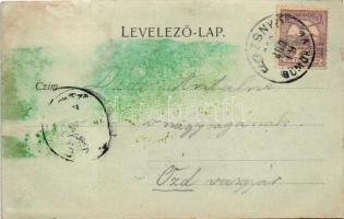 1900 Rozsnyó, Roznava; látkép / general view (fl)