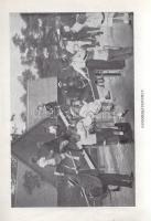 A Budapesti Állatkert útmutatója. Képes díszkiadás.
Budapest, 1913. Székesfővárosi Állatkert (Széke...