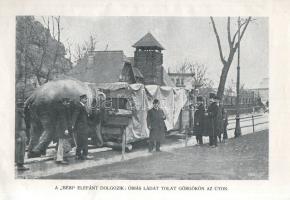 A Budapesti Állatkert útmutatója. Képes díszkiadás.
Budapest, 1913. Székesfővárosi Állatkert (Széke...