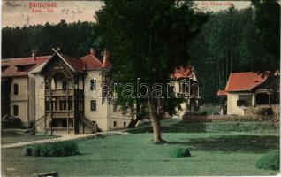 1909 Bártfafürdő, Bardejovské Kúpele, Bardiov, Bardejov; Anna lak, Dr. Hintz villa. Eschwig és Hajts kiadása, Hajts Kornél felvétele / villas (EK)