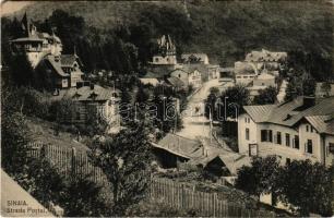 1913 Sinaia, Strada Postei / general view, villa (r)