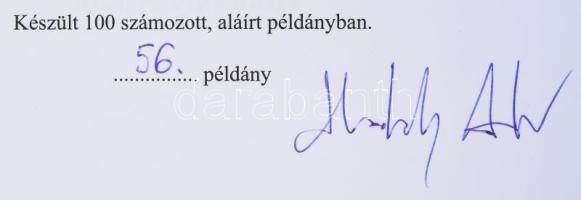 Hodobay Andor: A bélyeg- és jogilletékek változása Magyarországon. 1850. november 1-től 1950. decemb...