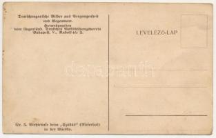 Bácska, Backa; Deutschungarische Bilder aus Vergangenheit und Gegenwart Nr. 5. Viehtränke beim "...