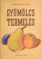 Rayman János-Horváth József-Szabó Árpád: Gyümölcstermelés I. Bp., 1957., Mezőgazdasági. 3. kiadás. Szövegközti rajzokkal. Kiadói papírkötés, foltos borítóval.