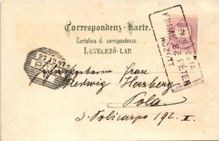 1897 (Vorläufer) Kraljevica, Portoré, Porto Ré; Kloster, Monastero. Ottmar Zieher Art Nouveau, flora...