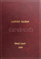 Békefi László: Koppány Zalában. Zalaegerszeg, é.n., Fülöp Nyomda, 27 p. Aranyozott műbőr-kötésben, az elülső szennylapon ajándékozási bejegyzéssel. (Az eredetileg 1929-ben megjelent mű Zalakoppány helység helytörténetével foglalkozik.)