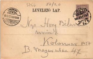 1900 Budapest XI. Gellérthegy, Citadella, "Hattyú" gőzös. Klein V. kiadása