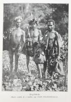 Merlin Moore Taylor (1886-1939): A kannibálok földjén. Barangolás Pápua szívében. Ford.: Halász Gyul...