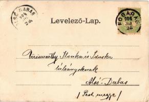 1904 Negoj-csúcs, Negoi (Fogarasi-havasok (Fogarasi Kárpátok), Fogarascher Karpathen, Muntii Fagaras...