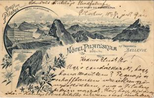 1897 (Vorläufer) Pilatus, Hotel Pilatuskulm, Dependance Bellevue, An der Eselwand, Berneralpen. Art Nouveau, floral (hole)