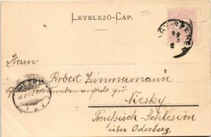 1899 (Vorläufer) Szebenjuharos, Hohe Rinne, Paltinis; Gruss vom Kurhaus auf der hohen Rinne! 1420 M....