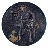 1926. "Országos Testnevelési Tanács" kétoldalas ezüstözött bronz érem. Szign.: Berán Lajos (60mm) T:VF, ezüstözés lekopott, patina