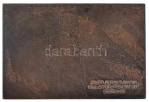 Németország DN(~1920) "Boldog Új Évet" egyoldalas bronz plakett, hátoldalon "Stuttgar...