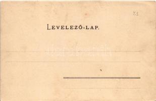 Segesvár, Schässburg, Sighisoara; látkép / general view (vágott / cut)