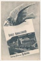 Herkulesfürdő, Baile Herculane; Gyógyterem sétánya. Eberle Keresztély kiadása, montázs galambbal / Curpark / spa promenade, montage with dove (ázott / wet damage)