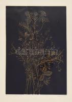 Reich Gábor (1951-): Tanulmány II. Szitanyomat, papír, jelzett, 27×20 cm