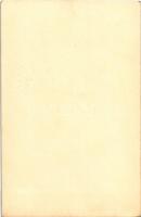 Székesfehérvár, Bory vár. photo (non PC)