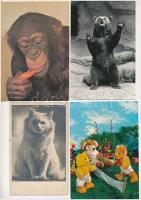 33 db MODERN állatos motívum képeslap
