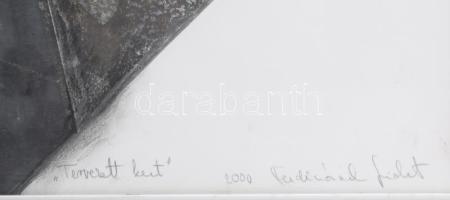 Ferdinánd Judit (1942-): Tervezett kert, 2000. Egyedi linómetszet, papír, jelezve jobbra lent, 70x50...