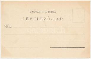 1897 (Vorläufer) Segesvár, Schässburg, Sighisoara; Totalansicht, Comitatshaus, Ev. Gymnasium, Kloste...