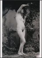 cca 1870 "Édenkerti jelenet", szolidan erotikus felvétel, 1 db modern nagyítás, jelzés nélkül, 21x15 cm