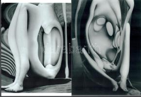 cca 1932 Kertész Andor (később André Kertész) (1894-1985) magyar (később francia ? amerikai) fotóművész felvételei (Torzítások sorozatból két kép), 2 db modern nagyítás, jelzés nélkül, a néhai Fővárosi Fotó Vállalat (FŐFOTÓ) Váci utcai Fotóművészeti Galériájának archívumából, 21x15 cm