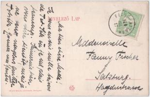 1910 Tótsók, Salgovce; Sándor-Sulkovszky kastély. Divald Károly műintézete / castle (EK)