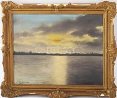 Salgó Sándor jelzéssel: Vízparti táj, 1932. Olaj, vászon. Dekoratív, sérült fakeretben. 40x50 cm