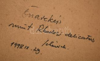 Schéner Mihály (1923-2009): Önarckép mint Rhodosi delicatus. Olaj, farost, jelezve balra lent, hátol...