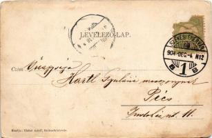 1904 Székesfehérvár, látkép. Eisler Adolf kiadása (Rb)