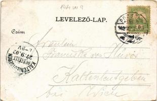 1902 Pozsony, Pressburg, Bratislava; Duna, vár, ingahajó / Danube, castle, steamship (kopott sarkak ...