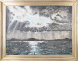 Stiegler jelzéssel: Vízparti táj (Balaton?). Olaj, vászon. Dekoratív fakeretben, 60×80,5 cm.