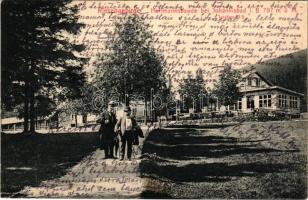 1916 Janské Lázne, Johannisbad (Krkonose, Riesengebirge); Hoffmannsbaude bei Johannisbad + "Reservespital Johannisbad, Böhmen" "Militärpflege Feldpost" (EK)