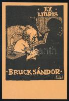 Földes Imre (1881-1948): Ex libris Bruck Sándor, linómetszet, papír, jelzett a metszeten, 7,5×6 cm