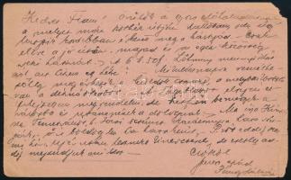 1917 Nagyszeben (Sibiu), Pándy Kálmán (1868-1945) orvos, ideggyógyász, a nagyszebeni Állami Elmegyógyintézet igazgató főorvosa saját kezű levele katonai szolgálatot teljesítő fiának, tábori posta levelezőlapon