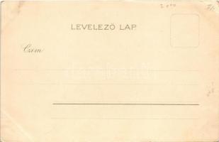 Köln, Cologne; Kosmos műintézet / view from the Rhein, cathedral, city hall. Art Nouveau, litho s: B...