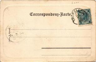 1904 Trofaiach, Villenviertel. Verlag U. Urmann / general view, villa (EK)