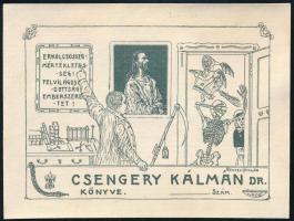 Gönczy Miklós (működött a XX. sz. elején): Csengery Kálmán könyve (szecessziós ex libris), 1906. Vonalas klisé, papír, jelzett a klisén. 6x8 cm