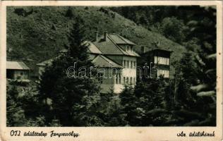 Fenyvesvölgy, Stavna, Stavne, Sztavne; OTI üdülőtelep, üdülőházak / holiday resort (EK)