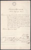1852 Székesfehérvár, 30kr szignettás okirat, Hadik Márton kérelme a város polgármesteréhez tanítói állás elnyerésére vonatkozóan