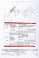 Klima László, Türk Attila (szerk.): Párhuzamos történetek. Interdiszciplináris őstörténeti konferenc...