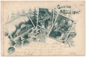 1904 Negoj-csúcs, Negoi (Fogarasi-havasok (Fogarasi Kárpátok), Fogarascher Karpathen, Muntii Fagarasului); Schutzhütten, Drachensteig, Schwindlerbrücken, Dreibrücken. Herausgeben v. d. "Sektion Hermannstadt" S.K.V. Lichtdruck v. Jos. Drotleff / menedékház, gyalogos híd / shelters, bridges. Art Nouveau, floral (EB)