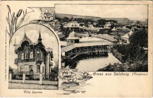 Vízakna, Salzburg, Ocna Sibiului; Bad, Villa Louise. Karl Graef (Hermannstadt) / fürdő, villa / spa, villa. Art Nouveau, floral (EK)