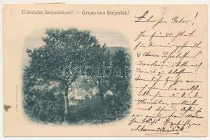 Stájerlak, Steierlak, Stájerlakanina, Steierdorf, Anina; látkép, templom. V. Rose / general view, church (fl)